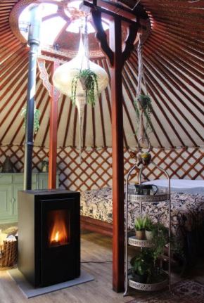 Stay in Yurt